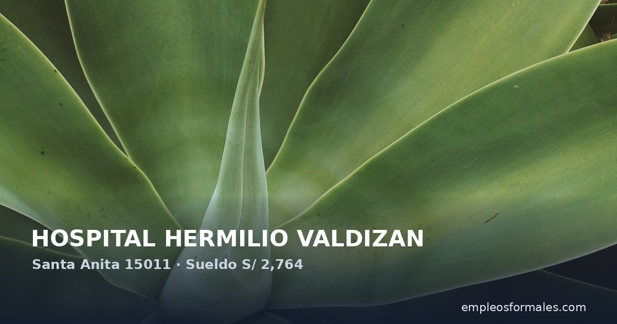 Asistente Ejecutivo en el Hospital Hermilio Valdizán. HOSPITAL HERMILIO VALDIZAN